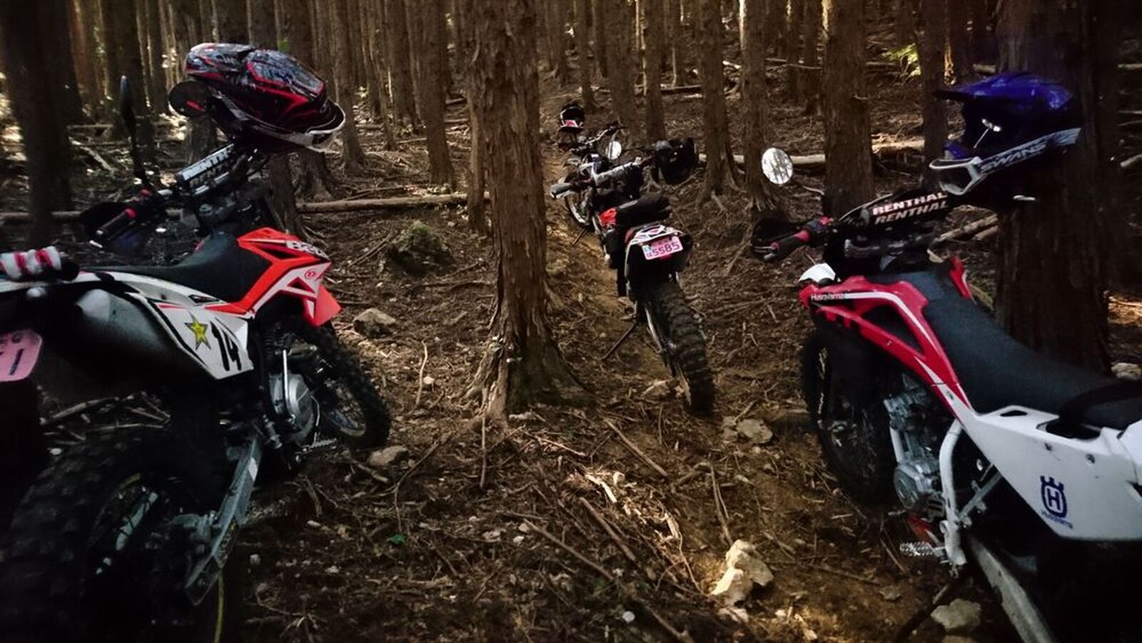 Rr4t125 試しにbetaでオフロードを始めてみましょう ウェビックユーザーの 愛車を語ろう
