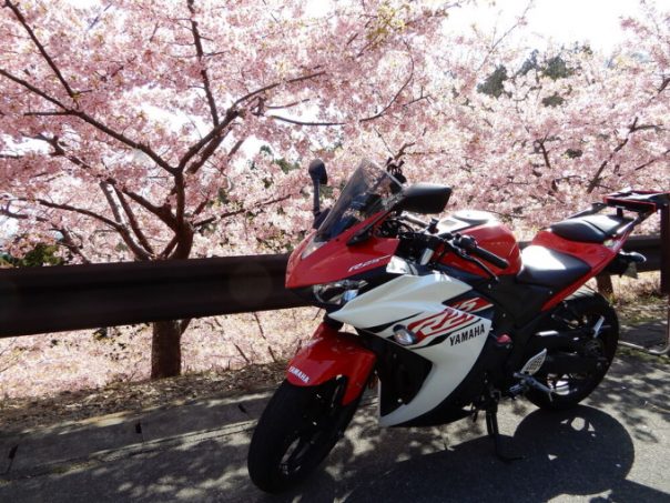 おすすめ250ccバイクtop10 実際に乗るユーザーの満足度が高いバイクをご紹介